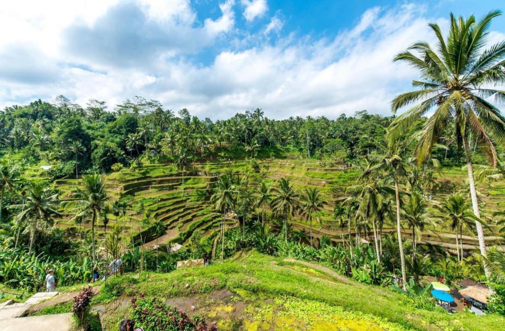 Alam Sari Keliki Resort & Spa Tegallalang  Buitenkant foto